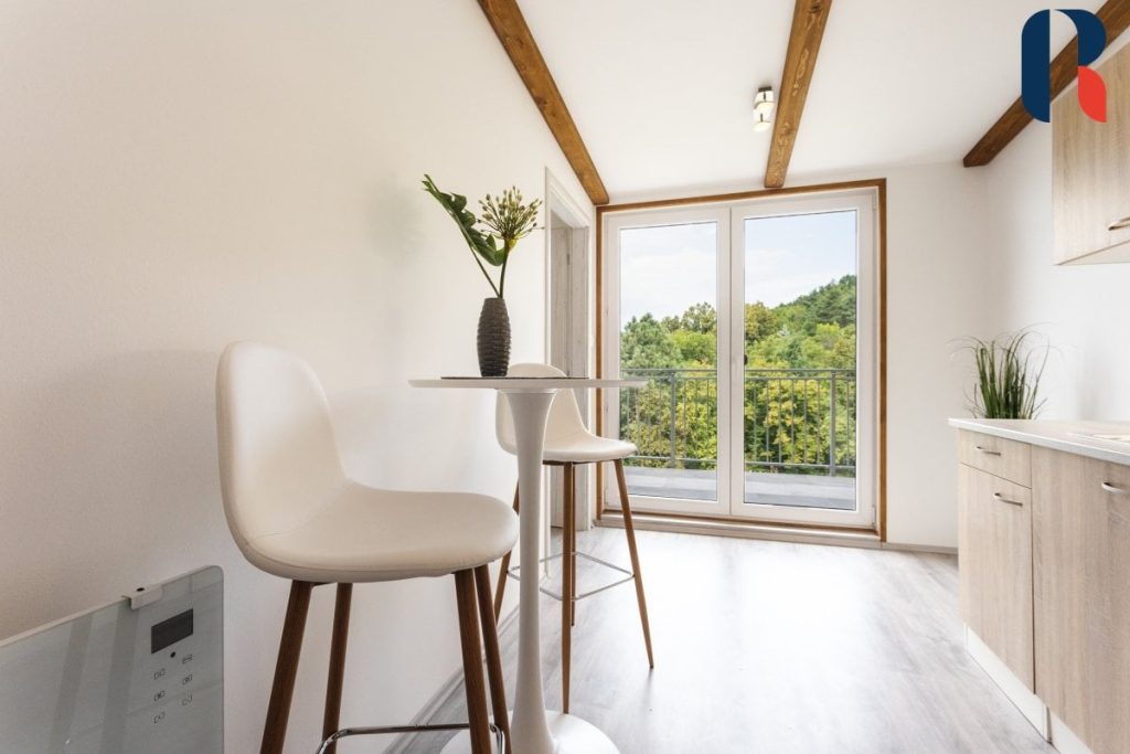 Pronájem bytu 2+kk 25 m², terasa 10 m2,Praha – Libeň