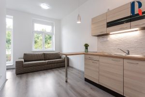 Pronájem bytu 3+kk 55 m² – 1