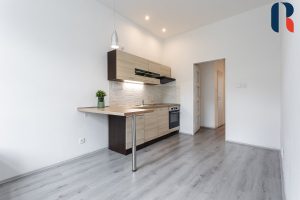 Pronájem bytu 3+kk 55 m² – 4