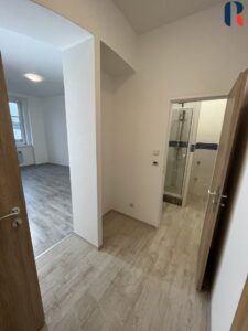 Pronájem bytu 2+kk 38 m² – 11