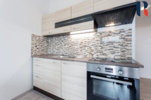 Pronájem bytu 3+kk 48 m² – 3
